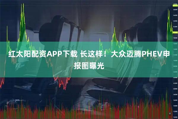 红太阳配资APP下载 长这样！大众迈腾PHEV申报图曝光
