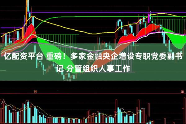 亿配资平台 重磅！多家金融央企增设专职党委副书记 分管组织人事工作