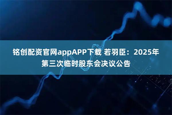 铭创配资官网appAPP下载 若羽臣：2025年第三次临时股东会决议公告
